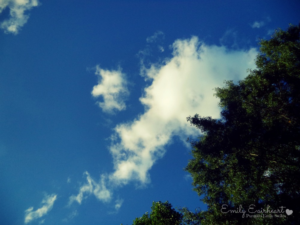 Clouds that look like a person hiding and T-Rex holding a cake.