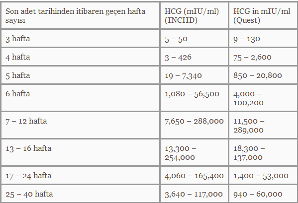 Hcg hormonu ve kanda gebelik (hamilelik) testi Hcg hormonu ve kanda gebelik (hamilelik) testi