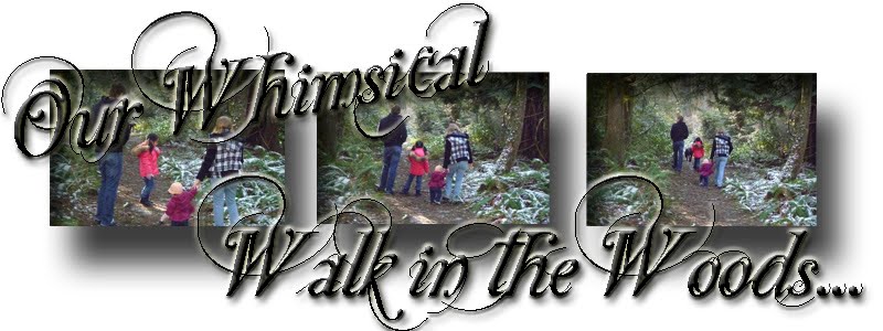 Our Whimsical Walk In The Woods