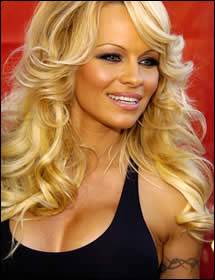 Hair Style Of Celebrity Pamela Anderson Hair