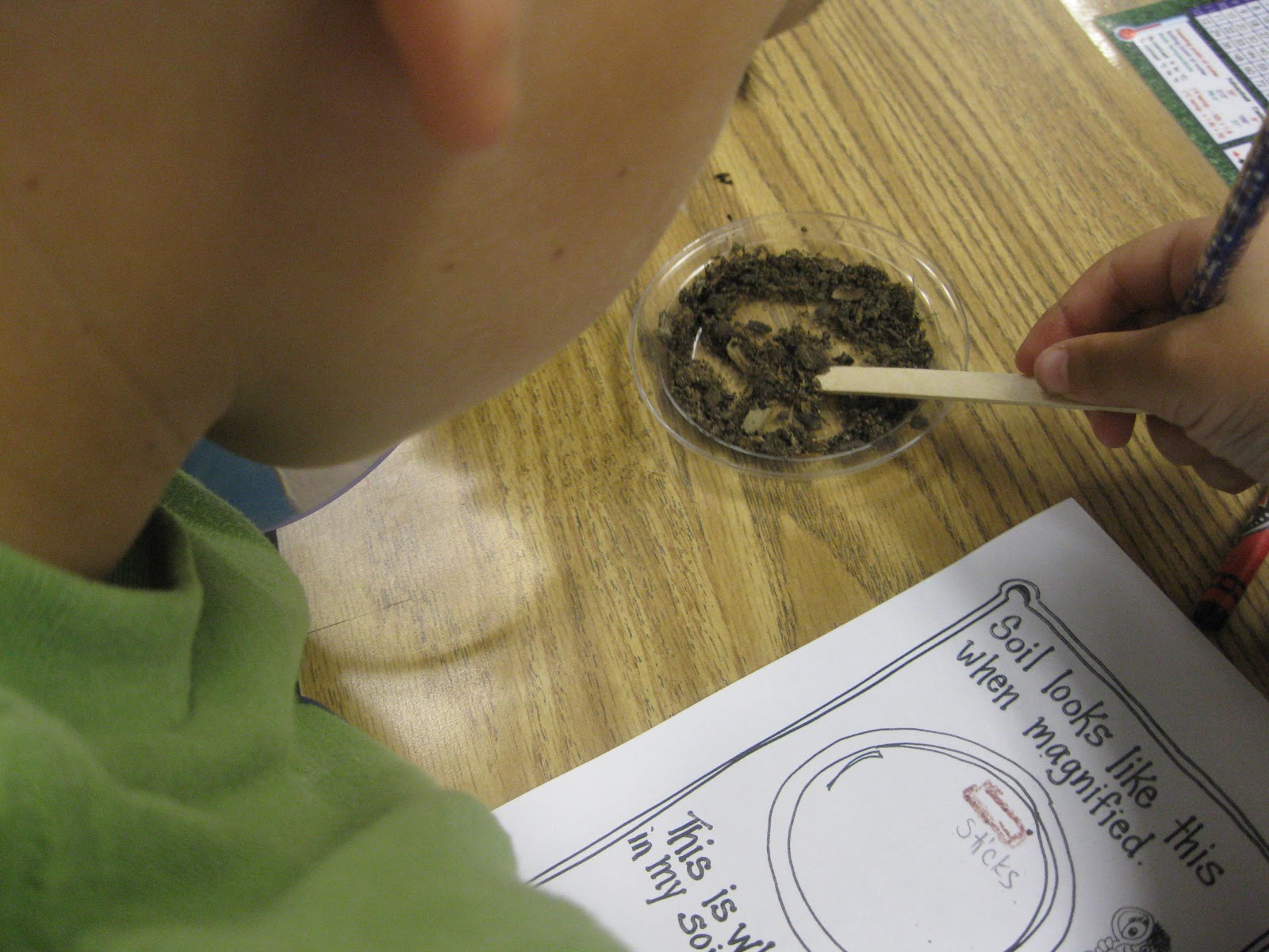 Third Grade Thinkers Science Investigation A Soil Study