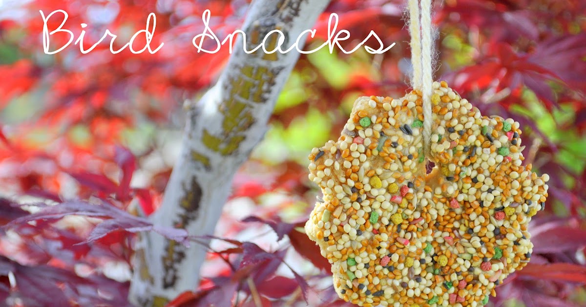 Simple Bird Treats She's Crafty