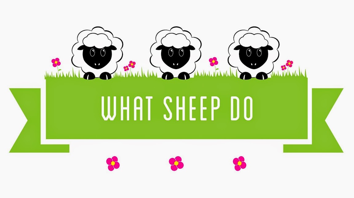 What Sheep Do
