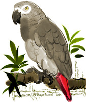 African Grey Parrot is a bird painting by Artmagenta