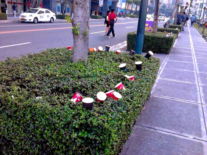 BGC Sidewalk Plants Bear Trash bgc trash