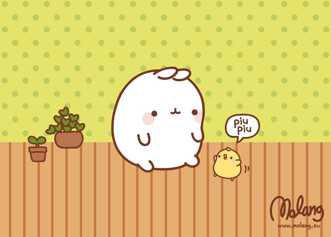 Molang: El conejito gordito ~ Pau Escarcia Blog Personal