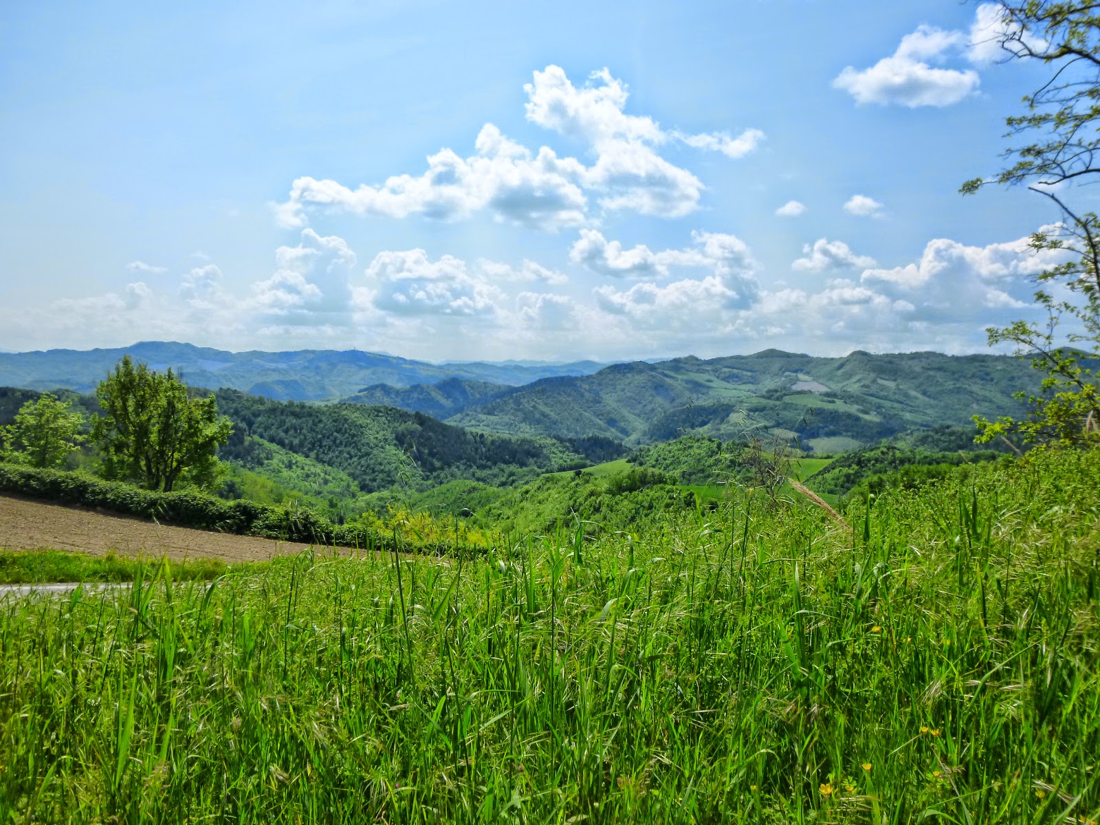 cerco amiche treviso