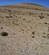 Cerro Bandera