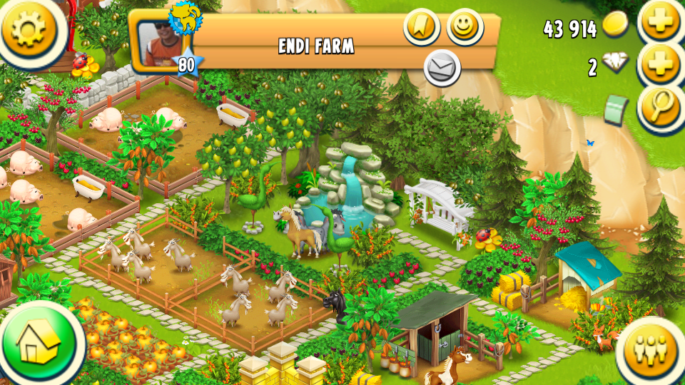  Hay Day -  4