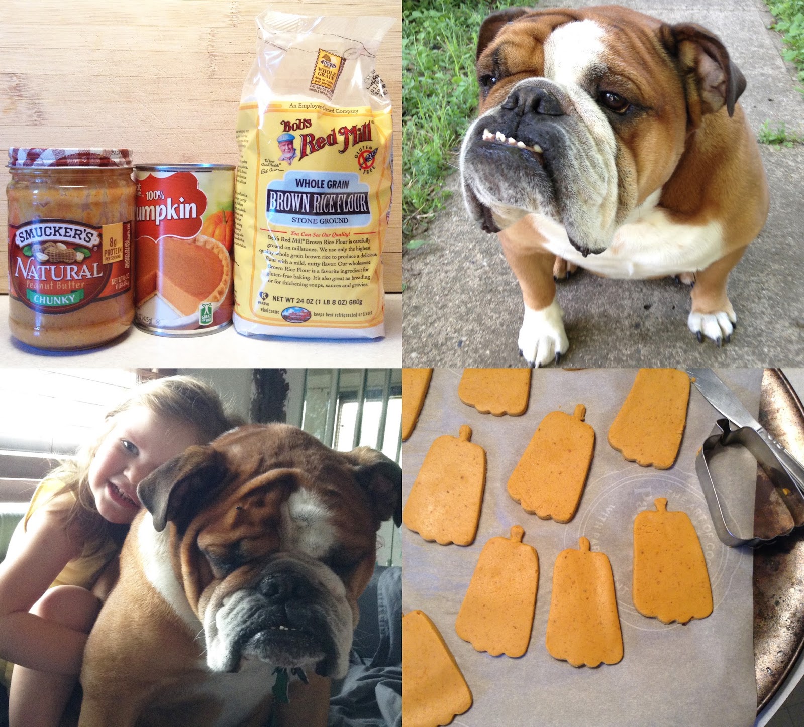 easy homemade dog treats