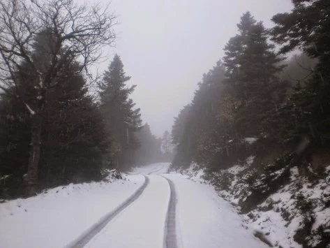 Έπεσαν τα πρώτα χιόνια στην Πάρνηθα! (ΦΩΤΟ)