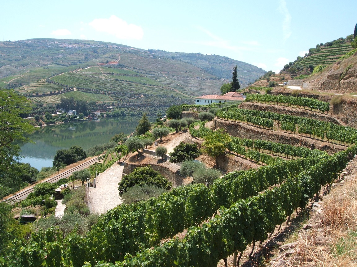 Douro Valley Quinta de la Rosa, Pinhão