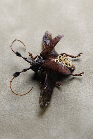 Lindsey Bessanon Hadal-Art insertos mecanizados steampunk