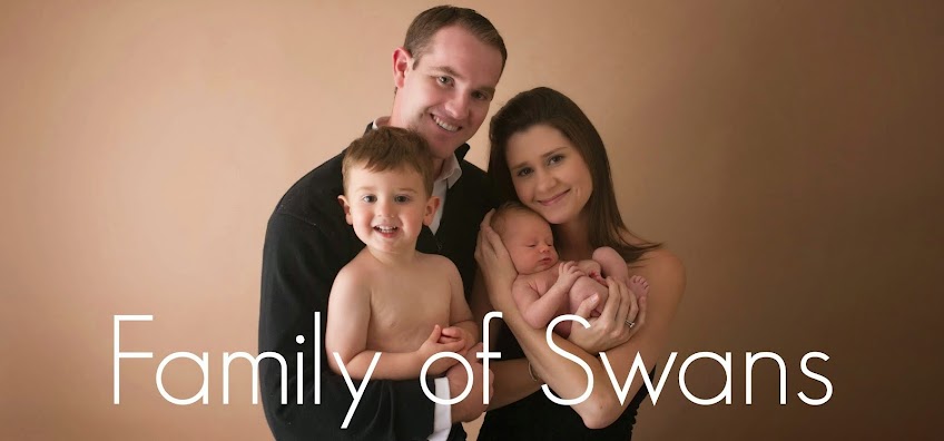 Family of Swans