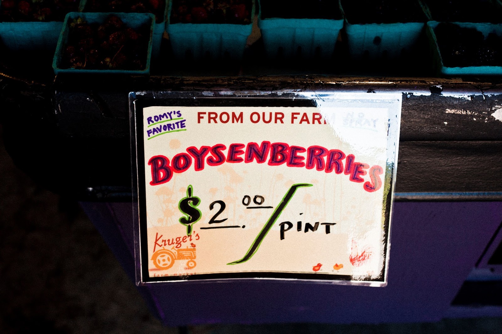 Sauvie Island hummingbird high a desserts and baking blog