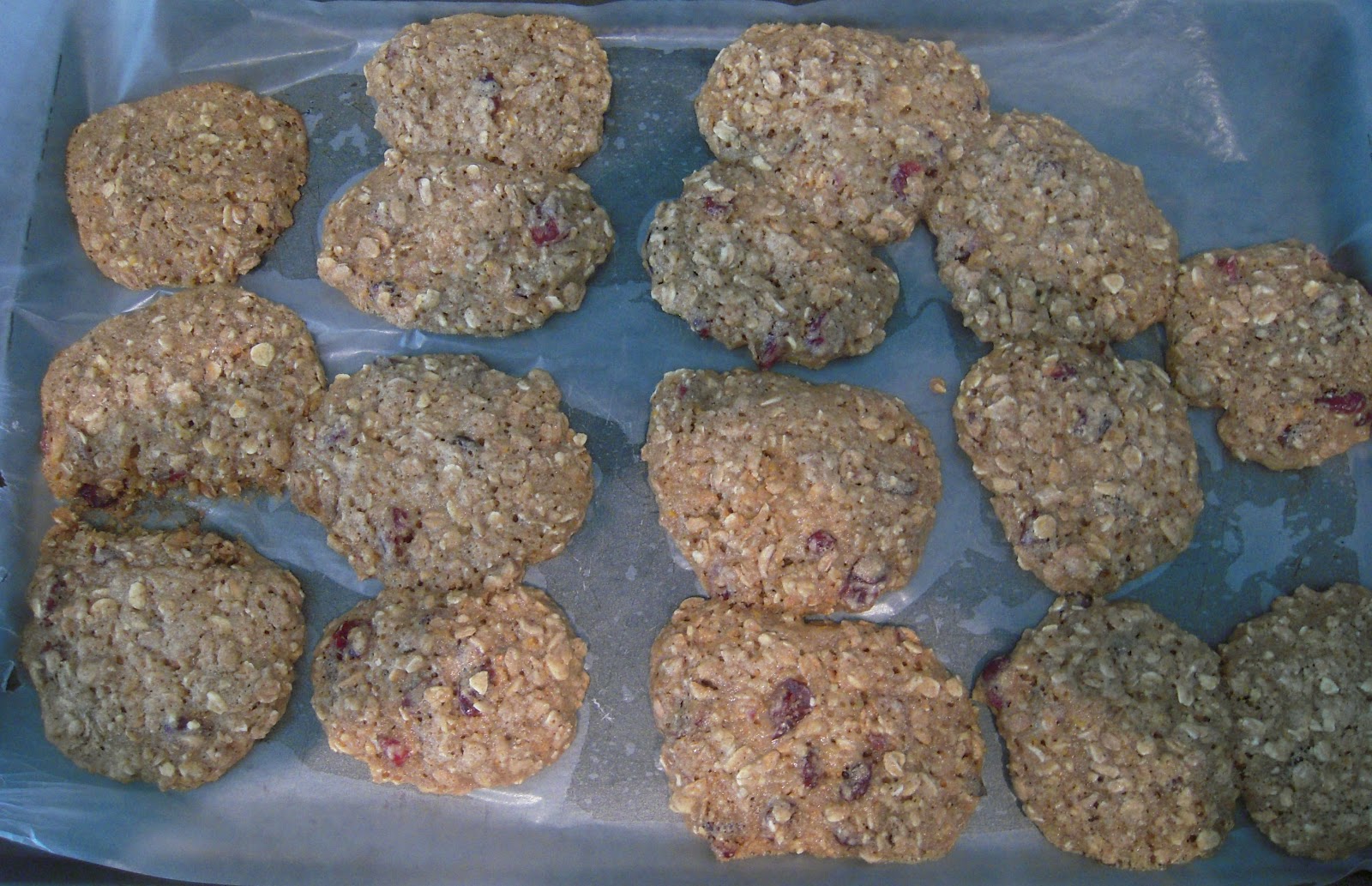 Key Ingredients Orange Cranberry Oatmeal Cookies