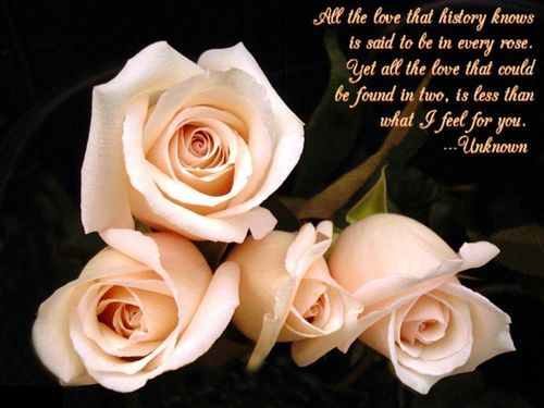 In Love Quotes and Sayings
