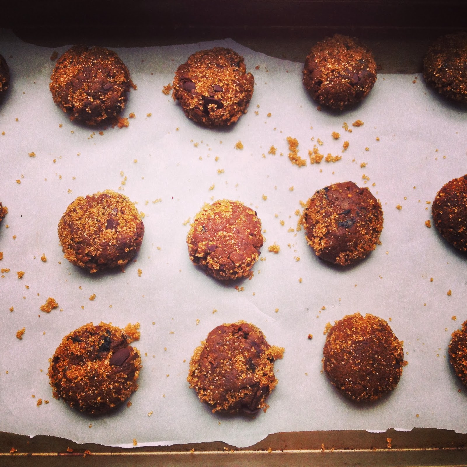 foodrefuge Whole Wheat Ginger Chocolate Hermit Cookies