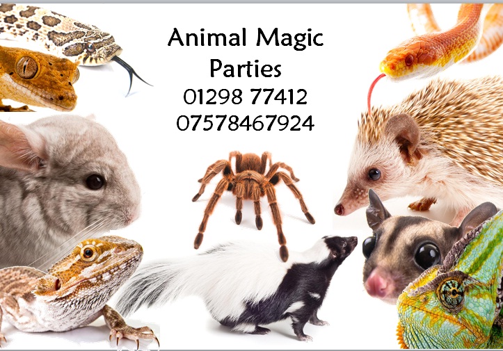 Animal Magic Parties