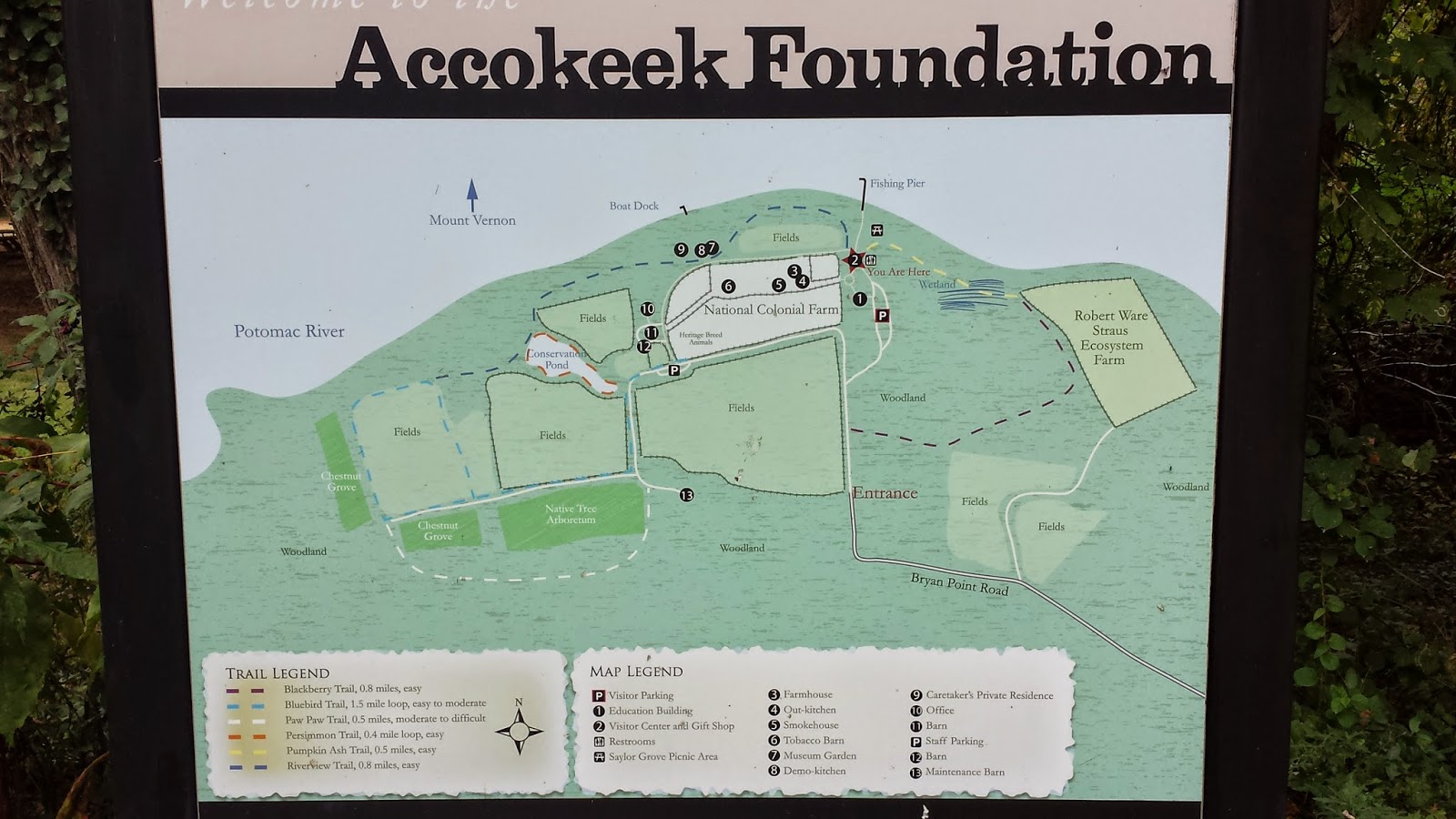 the accokeek foundation preserves the shoreline this location is directly across the potomac river from mount vernon the foundation established in 1954 the accokeek foundation preserves the shoreline this location is directly across the potomac river from mount vernon the foundation established in 1954