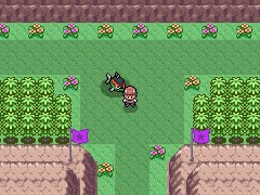 Habeis jugado Pokémon Reload CAPT_1242013_2460182
