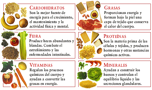 Un camp de margarides: LA ALIMENTACIÓN Un camp de margarides: LA ALIMENTACIÓN