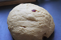 Shaped dough for pumpkin-cranberry-pecan twists