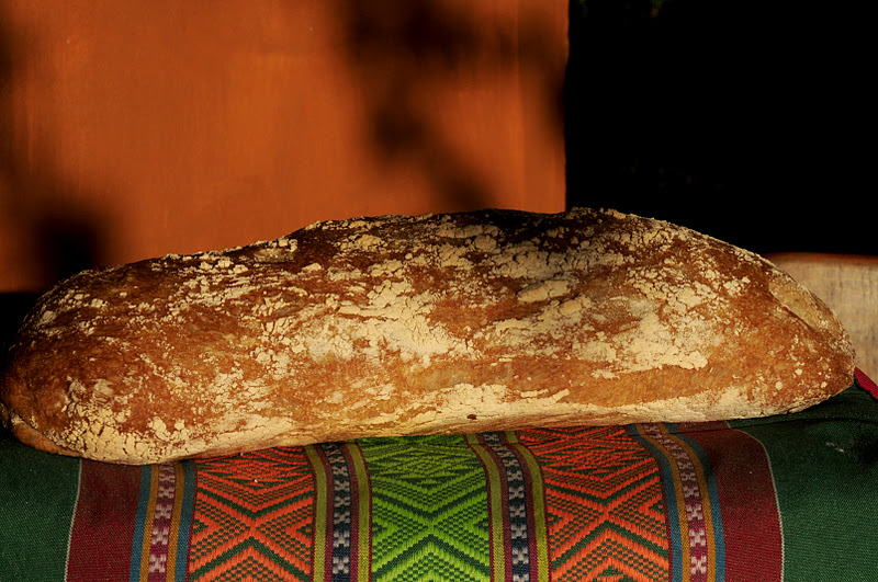 my discovery of Bread How a big lump of bubbly dough an amazing Ciabatta