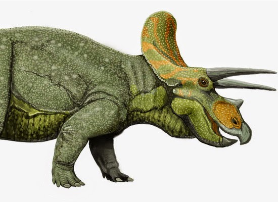 500+ Gambar Dinosaurus Triceratops HD Paling Keren 500+ Gambar Dinosaurus Triceratops HD Paling Keren