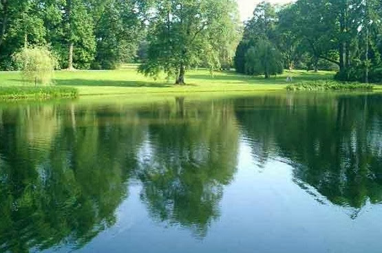 Cho thuê xe 16 chỗ đi hồ Đại Lải - Vĩnh Phúc