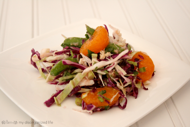 Cabbage Salad with Garlic Ginger Dressing- {i love} my disorganized life #FlavorsOfSummer #VirtualPicnic