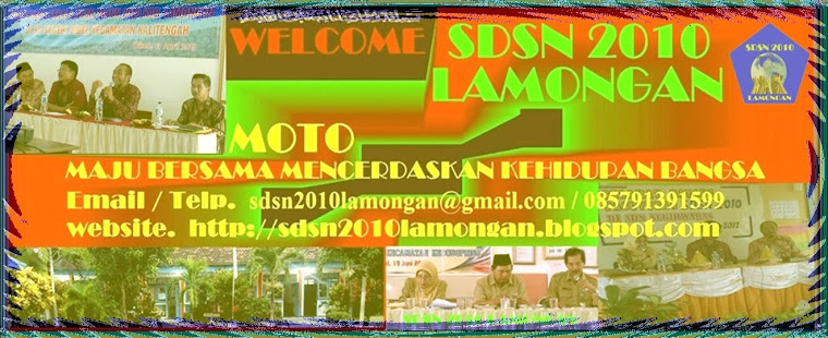 SDSN 2010 LAMONGAN