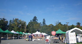 UBC Apple Festival 2011 - 41000 pounds of apples (75 varieties) for sale