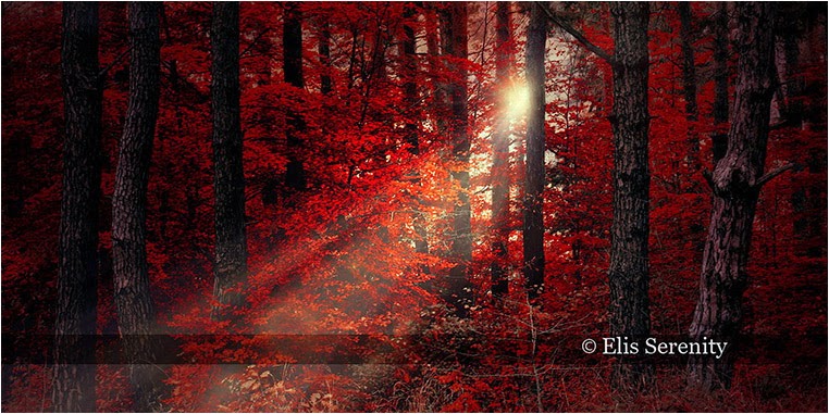 emerging photographers, Best Photo of the Day in Emphoka by Elis Serenity, https://flic.kr/p/rCmo9a emerging photographers, Best Photo of the Day in Emphoka by Elis Serenity, https://flic.kr/p/rCmo9a