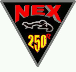 LOGO NEX 250 R