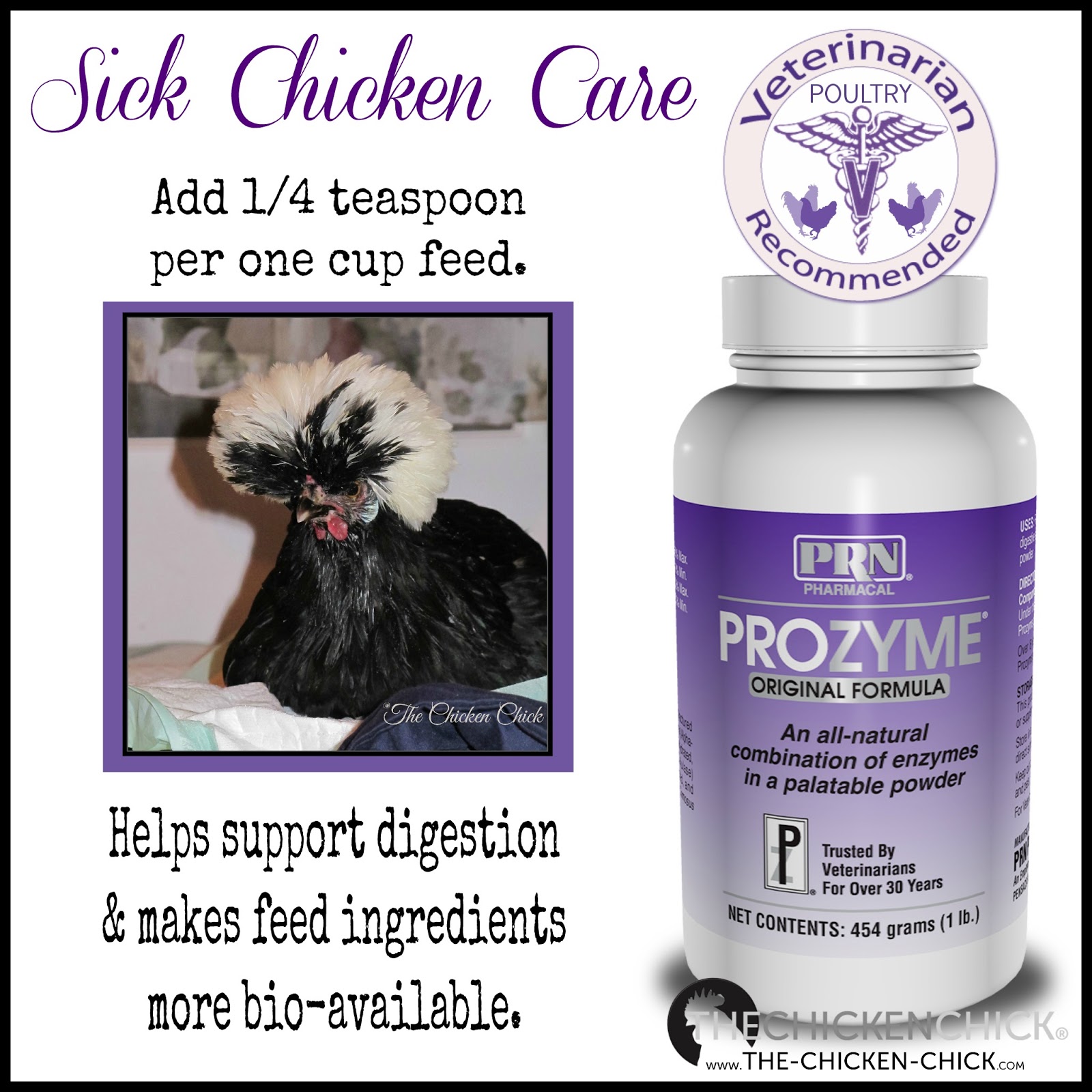 How to Help a Sick Chicken The Chicken Chick®