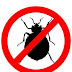 What To Do When You get Bed Bugs