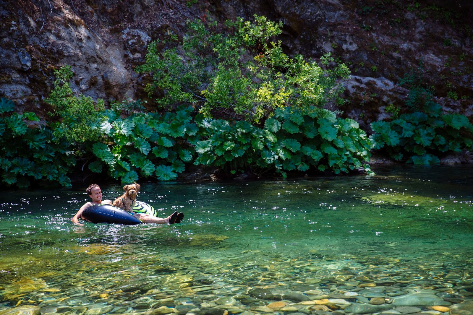 This Little Egge Summer Camping Trip 2 Rocky Rest, North Yuba River
