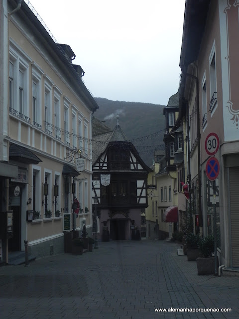 A encantadora Rüdesheim