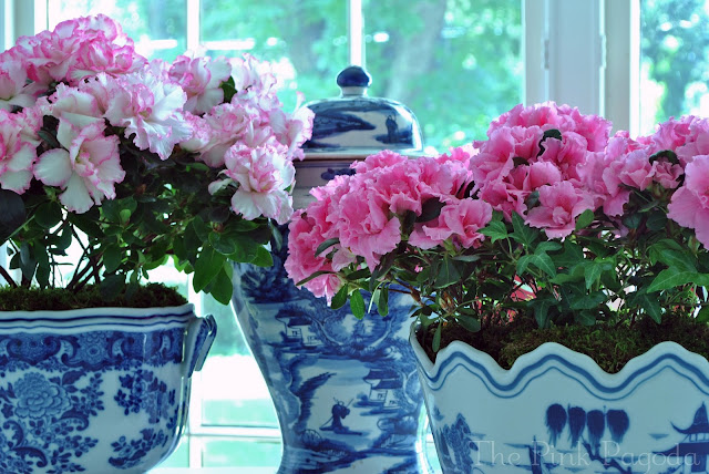 blue and white containers