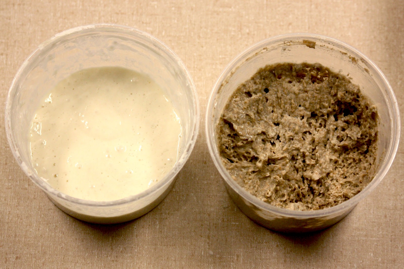 Baking Stories Wild Yeast