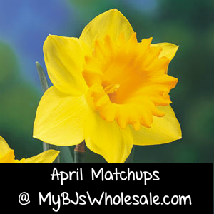 BJs Coupon Matchups for April 2014