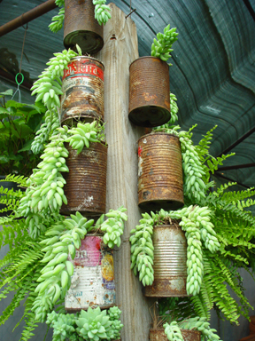 Flower Pots and Planters