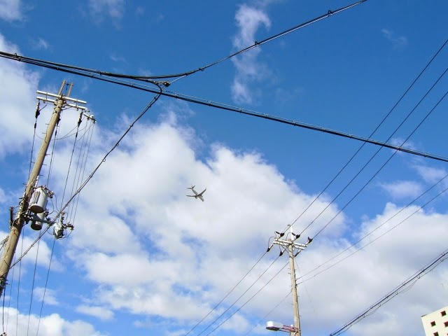 電柱 電柱