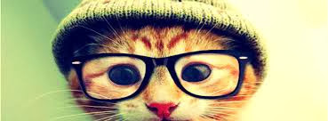 Gato de Oculos