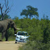 Gajah Serang Kereta Pelancong