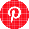 pinterest red check circle social media icon