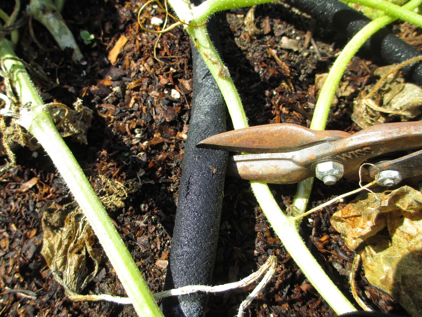 Andie's Way How to Repair a Hose Leak Tips for Beginners