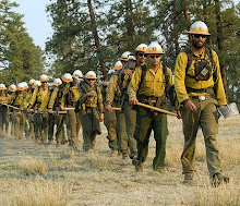 Wildland firefighter basic training available at community colleges, tech schools, training centers