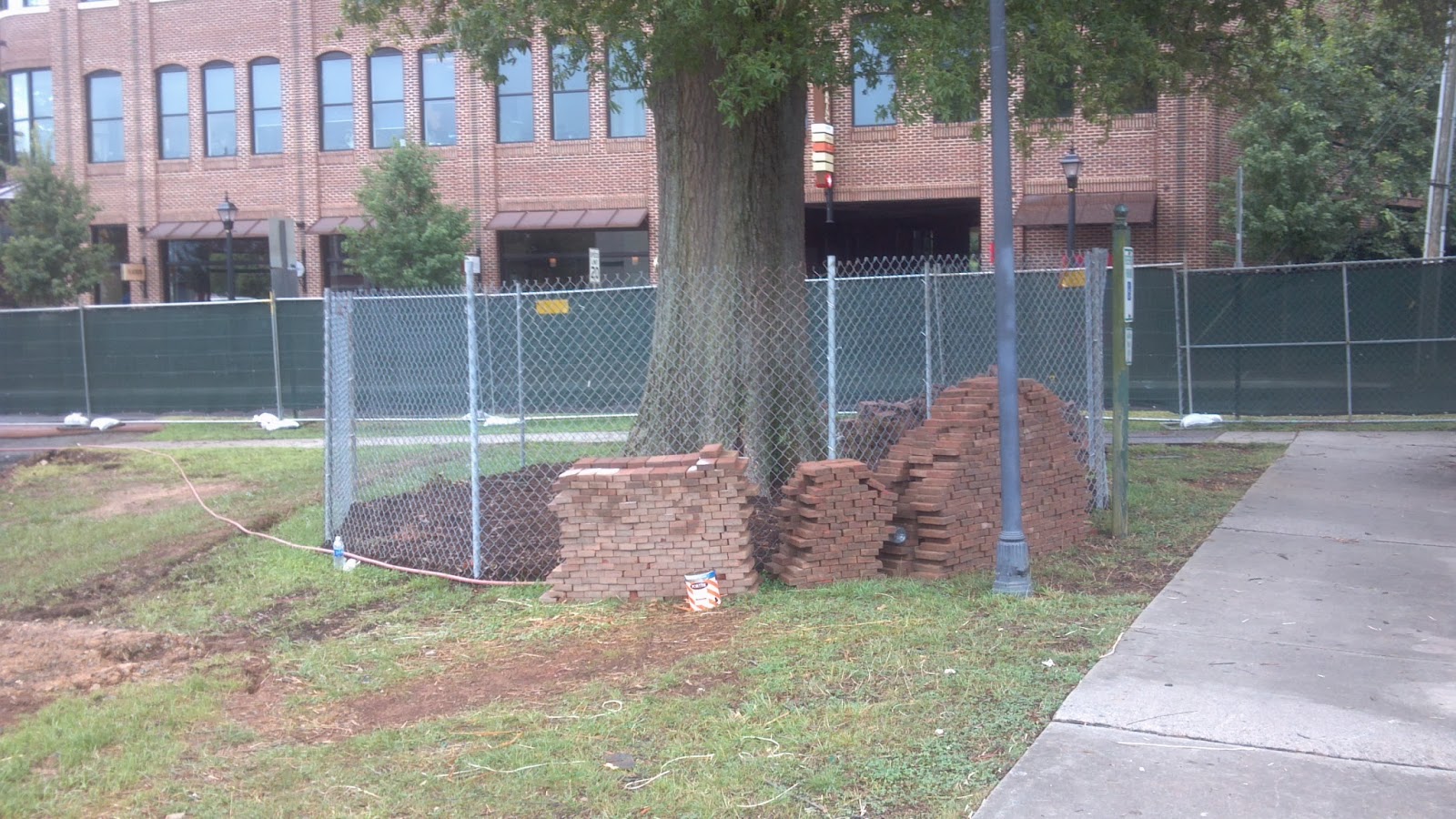 How to Protect Trees During Construction recommendations How to Protect Trees During Construction recommendations
